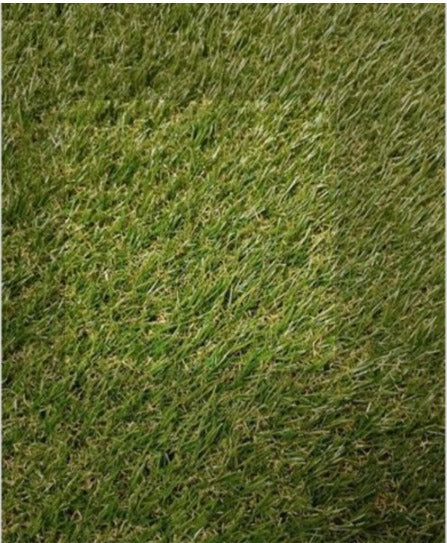 Pasto Montego Precio M2